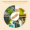 thumbnail image 3 of FRCOLOR  Parrot Bowling Hammock Parrots Bell Toy Cage Shredding Bird Toys, 3 of 8