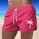 thumbnail image 1 of WILLBEST Pantalones Cortos Deportivos de Verano para Hombre, de Talla Grande, A La Moda, Informales, para Viajes, con Estampado de Cocoteros, para Playa, 1 of 3