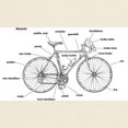 thumbnail image 3 of CafePress - Bicycle Anatomy T Shirt - Light T-Shirt - CP, 3 of 4