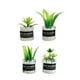 thumbnail image 3 of Plantas en miniatura para casa de muñecas, modelo de adorno, juguete de simulación, plantas diminutas, escala 1/12 Estilo A, 3 of 9