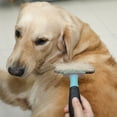 thumbnail image 6 of Charkool Dog/Cat Grooming Rake, Grooming Tool, Removes Loose Hair and Tangles, Blue, 6 of 6