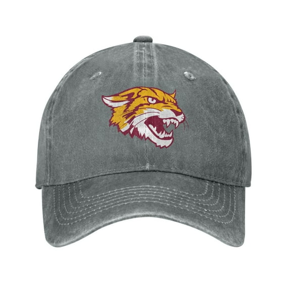 Bethune-Cookman A University Hat Adult Adjustable Classic Washed Casquette Cap Hat Baseball Cap