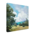 thumbnail image 2 of Trademark Fine Art 'Hedgerow I' Canvas Art by Julia Purinton, 2 of 3