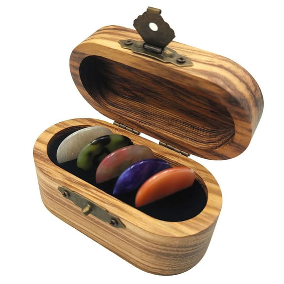 5 Pack Guitar Picks Thickness Plectrums Ergonomic Grip Guitar Accessories Storage Box Resin Texture for All Guitars