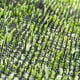 thumbnail image 5 of Injueey 10 piezas de alfombrillas de pinchos para repeler el jardín del hogar con ganchos en forma de U tiras de pinchazos de animales para Jardín y Patio, 5 of 6