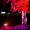 thumbnail image 5 of Outdoor Waterproof Spotlight Garden Lawn Lamp Safe Low Voltage Powered Park Square Road Community Landscape Light With Remote Control 2 in 1_EU Plug, 5 of 5
