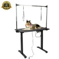 thumbnail image 1 of Electric Pet Grooming Table,with Two Ropes,for Cats,Dogs,Stainless Steel Frame and Anti-slip Rubber Table, 1 of 5