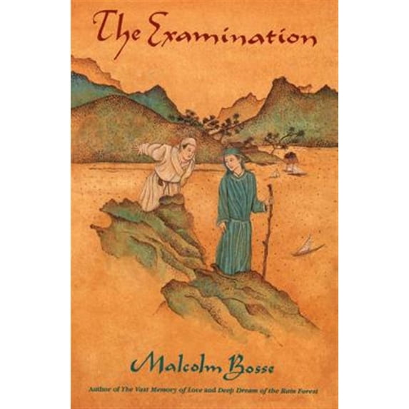 Pre-Owned The Examination (Paperback) 0374422230 9780374422233