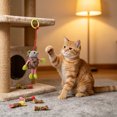 thumbnail image 5 of Zeiyignr Interactive Cat Toy, Hanging Plaything for Indoor Cats, Encourages Independent Play and Reduces Boredom Fun, 5 of 6