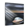 thumbnail image 5 of Clams in Realism. - Canvas, 5 of 25