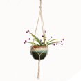 thumbnail image 3 of Worallymy Soporte para macetas Cuerda colgante Plantas Cesta colgante Bolsa de red Colgador de plantas Worallymy JD735795082, 3 of 7