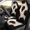style-787, variant on Cow Print Car Seat Covers 144730 Pack of 2 Universal Front Seat Protective Cover