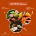 thumbnail image 5 of Pop of Color Tropical Guava Scented Jar Candle, 3 Wick, 14.5 oz, 80 Hours Burn, Fruity, 5 of 5