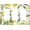 Multicolored-Lemon, variant on Italy Flag Italian Icon Switch Cover, 2 Gang Double Rocker Wall Plate for Home Decor, 4.7 x 4.6 in