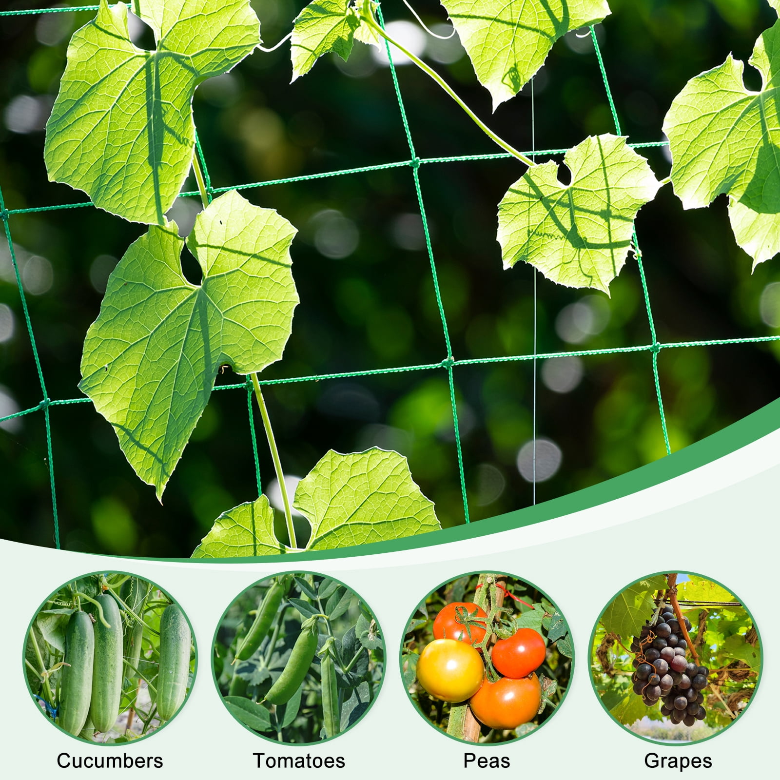 Uxcell Trellis Netting for Climbing Plants 6.6 x 16.4ft 30 Strands Heavy Duty Garden Trellis Netting Polyethylene Plant Support Net with 4" x 4" Mesh for Fruits Vegetables Cucumber
