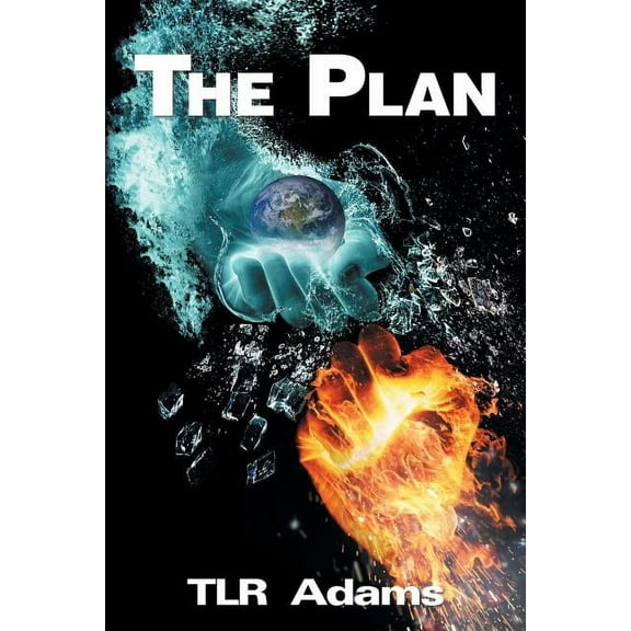 The Plan (Paperback)