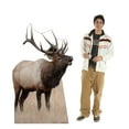 thumbnail image 3 of Advanced Graphics 5207 62 x 37 in. Elk Life-Size Cardboard Cutout, 3 of 3