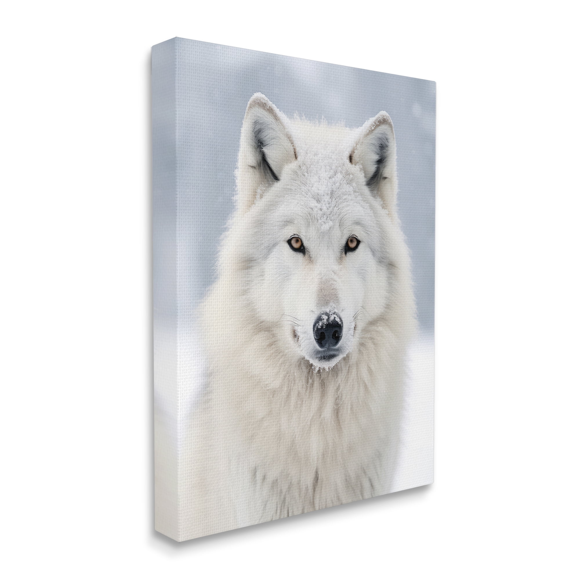 Stupell Industries White Wolf in Snow Animals & Insects Photography Gallery Wrapped Canvas Art Print Wall Art, 16 x 20