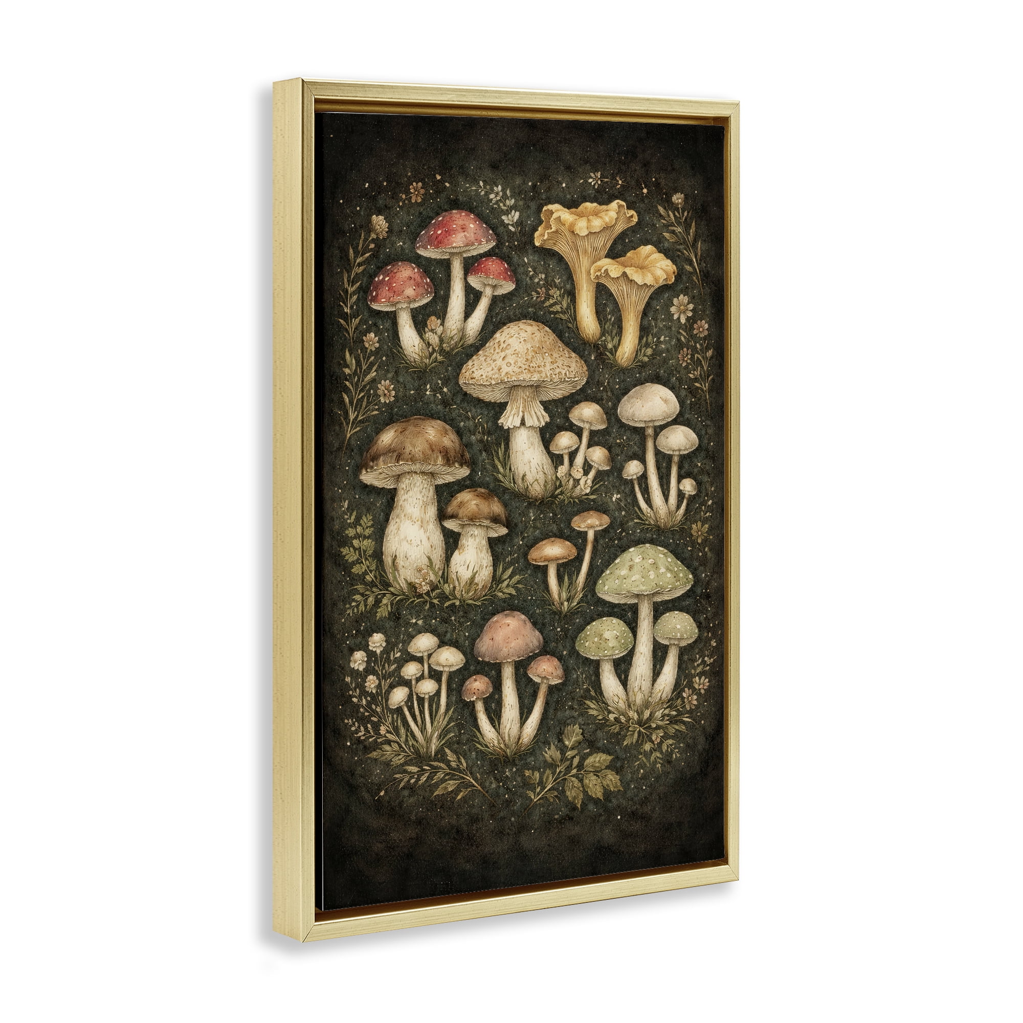 Stupell Industries Organic Sprouting Mushrooms Gold Framed Floater Canvas Wall Art, design by Tom Crehan