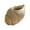 2, variant on Elegant Sea Shell Flower Pot With 3D Finishing Design Ideal For Small Plant