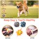 thumbnail image 4 of Juego de cuerdas para perros Aitmexcn Heavy Duty, paquete de 8, para personas grandes y medianas, 4 of 6