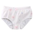 thumbnail image 2 of Bovxnpu Boys Girls Underwear Toddler Panties, Girls Cotton Briefs, Children's Printing Comfortable Girls' Cotton Underwear 6-7 Years, 2 of 3