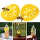 thumbnail image 2 of Trampa para Avispas, Forma de Flor, Trampa para Insectos Voladores, Embudo para Abejas, Jardín, Colgante Al Aire Libre, 2 of 10