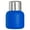 blue, variant on POINTERTECK Stainless Steel Straw Vacuum Portable Replacement 650ml Girls Ladies Cute Anti-rust Coffee Belly Vacuums Flask Blue