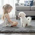 thumbnail image 2 of Ultra Soft Rug for Living Room, 3x5 Feet Grey Shag Area Rugs for Living Room, Modern Shaggy Carpets for Teens Dorm Nursery Home, Non Slip Indoor Rugs Floor Carpet(3 x 5, Light Grey), 2 of 14