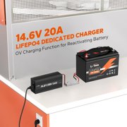LiTime 12V 100Ah LiFePO4 Lithium Deep Cycle Battery 100A BMS 1280Wh Energy with 14.6V10A Charger