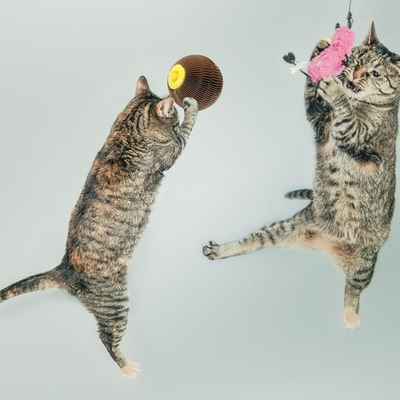 Pretyzoom 1Pack Honeycomb Toy Pet Toy Corrugated Paper Light Brown Scratching Indoor Play