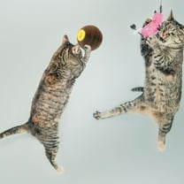 Pretyzoom 1Pc Creative Cat Scratching Board Made of Premium Corrugated Paper for Pet Supplies Light Brown