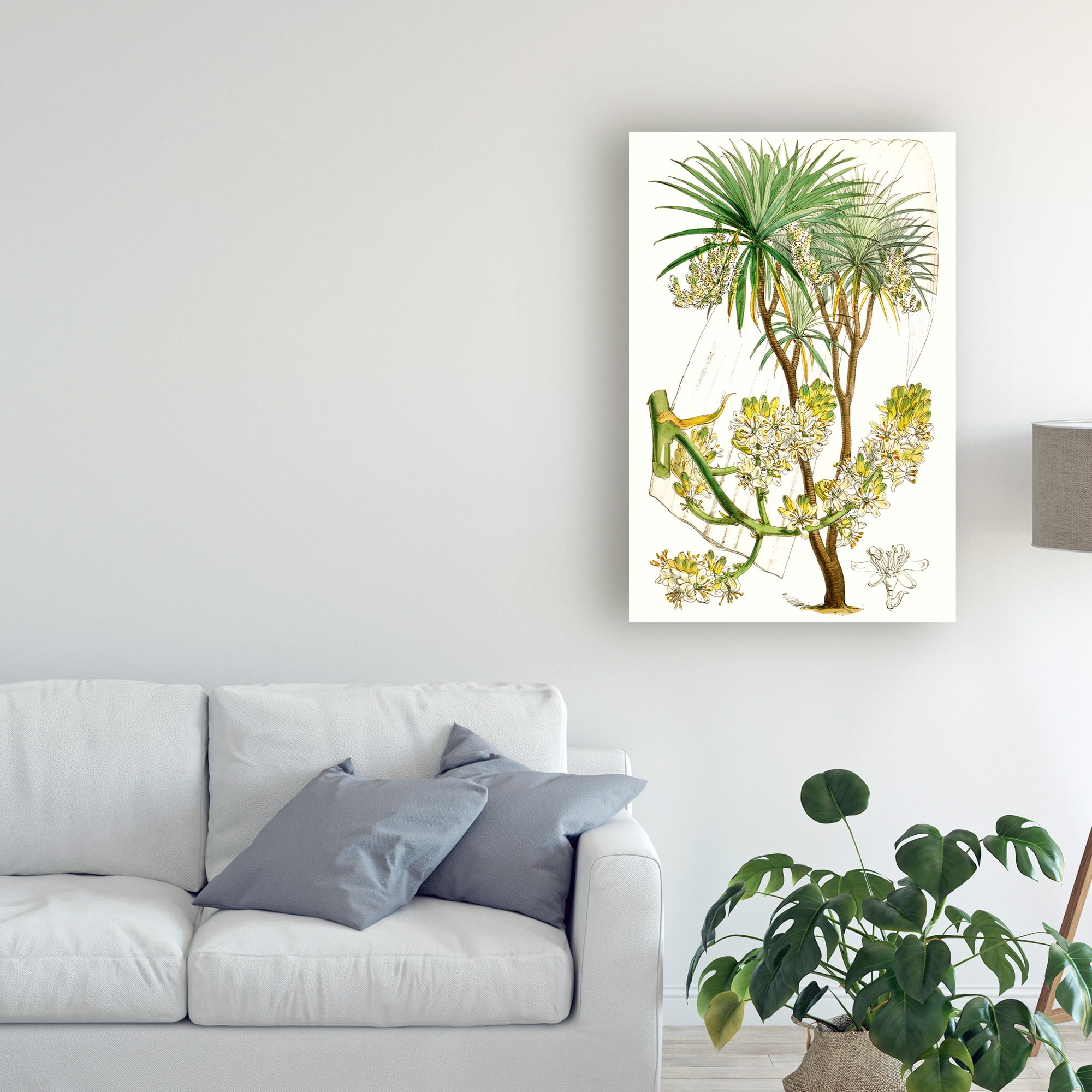 Trademark Fine Art 'Curtis Palms VI' Canvas Art by Curtis