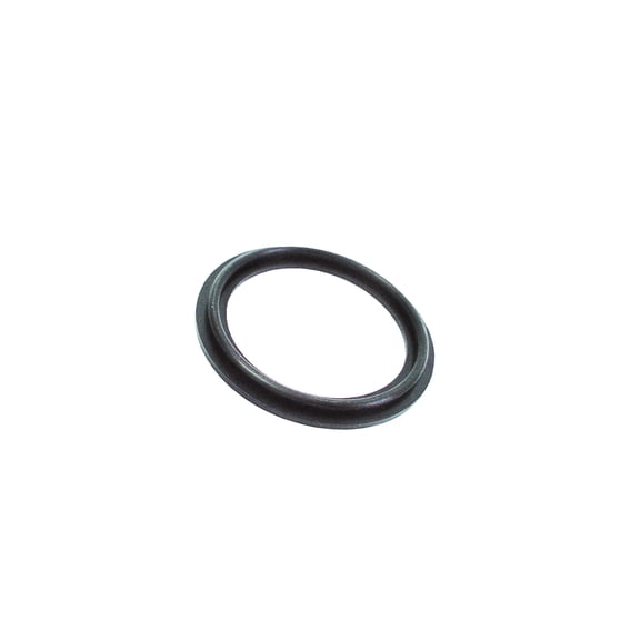 Therm Products RMG-02-652G 2 in. Heater Gasket with O-Ring
