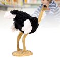 thumbnail image 2 of Solid Simulation Animal Ostrich Model Home Decoration Accessory Model Display, 2 of 4