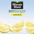 thumbnail image 2 of Minute Maid Zero Sugar Lemonade Fruit Juice, 20 fl oz Bottle, 2 of 9
