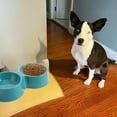 thumbnail image 4 of Laklulu Paquete de 2 comederos para mascotas para perros, gatos, cuenco de doble elevación, contenedor de agua y comida de plástico, 4 of 5