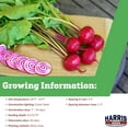 thumbnail image 5 of Harris Seeds - Chioggia Guardsmark Organic Beet Seeds – Candy-Striped Roots, Sweet - 250 Seeds, 5 of 5