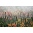thumbnail image 2 of OBrien, Jay 32x23 Black Ornate Wood Framed with Double Matting Museum Art Print Titled - USA, New York, Adirondacks State Park, 2 of 4