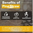 thumbnail image 3 of Premium Pine Straw Mulch Bale for Landscaping, Organic Material Made from Authentic Pine Needles Ideal for Gardening, Soil Moisture Retention., 3 of 5