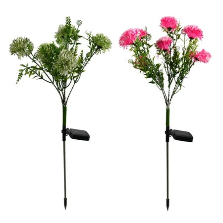 

HEMOTON 2pcs Solar Powered Dandelion Lights Waterproof Garden Light Outdoor Lawn Lamp for Pathway Yard (Random Color)