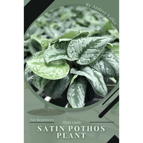 Satin Pothos Plant : Plant Guide (Paperback)