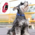 thumbnail image 4 of TUFF Collar Receptor de valla para perros Correa de repuesto resistente, 4 of 5
