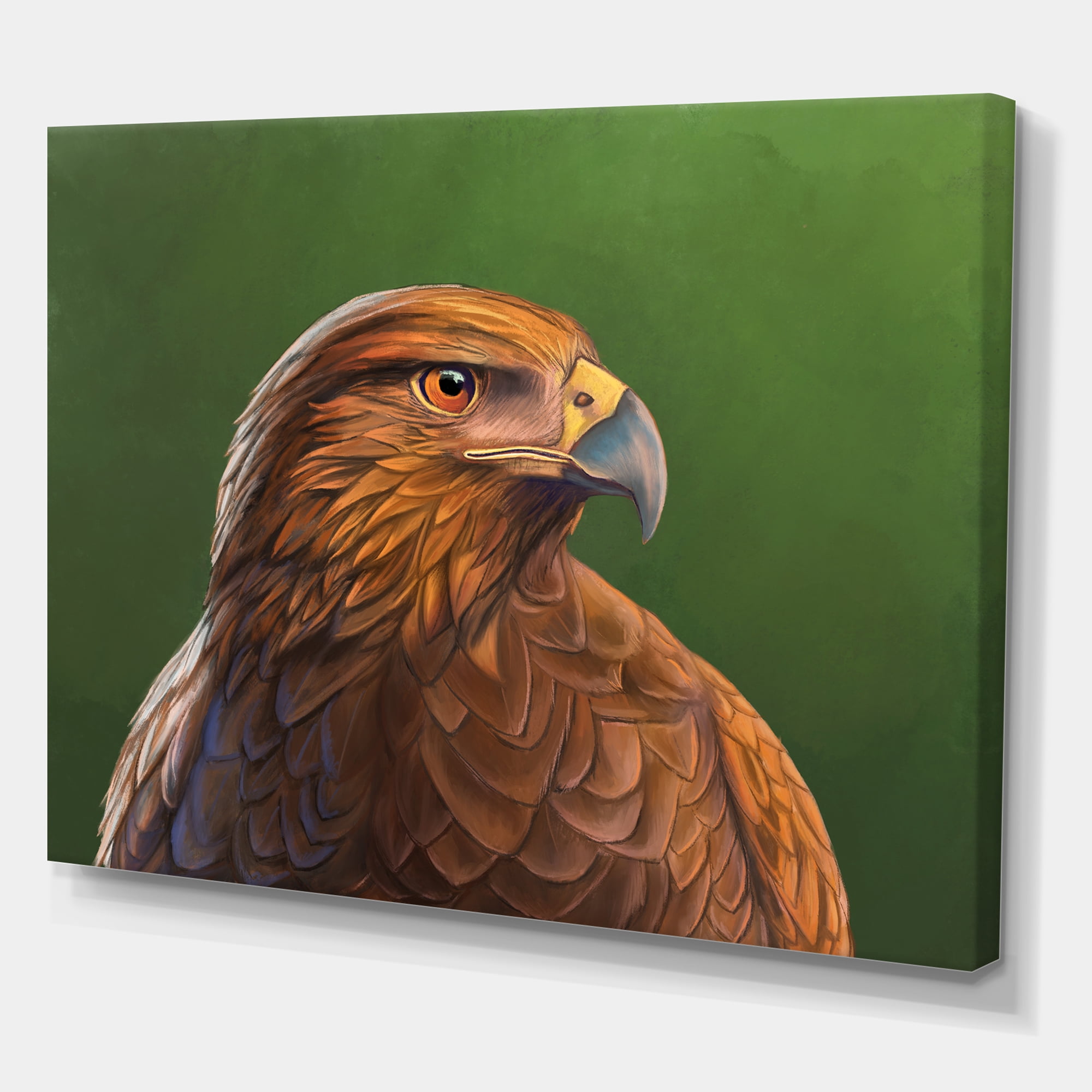 Designart ' Close UP Of Harris Hawk Bird ' Traditional Canvas Wall Art Print
