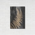 thumbnail image 3 of Luxe Metal Art 'Natural Gold Fern' by Lori Deiter, Metal Wall Art, 24"x36", 3 of 9