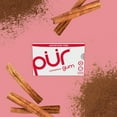 thumbnail image 6 of PUR Gum, Aspartame Free, Sugar Free & 100% Xylitol, Cinnamon Chewing Gum, 9 Pieces, Pack of 12, 6 of 7