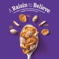 thumbnail image 5 of Raisin Nut Bran Cereal, High Fiber Cereal, Made with Whole Grain, 20.8 oz, 5 of 15