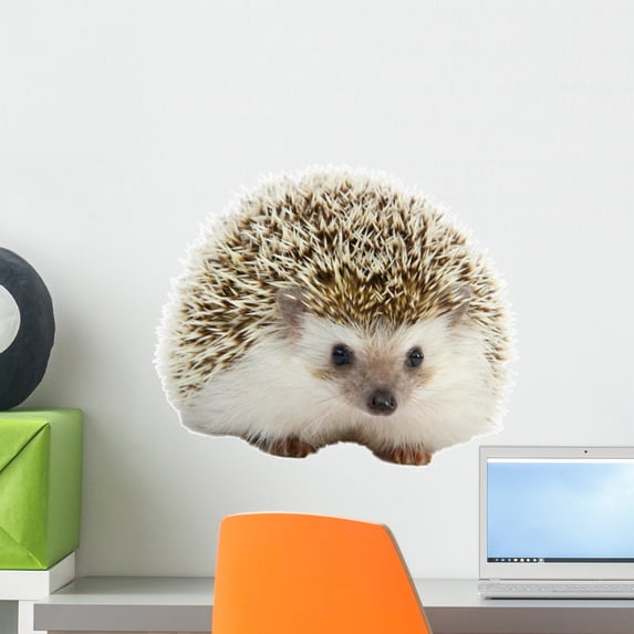 Hedgehog Wall Mural by Wallmonkeys Peel and Stick Graphic (18 in W x 15 in H) WM340466