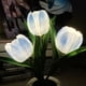 thumbnail image 3 of Lámparas de ambiente para mesita de noche adorno de escritorio luces Wdftyju de flores románticas manualidades regalo luces decorativas para mesa decoraciones para oficina y ho, 3 of 4