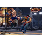 Storm Collectibles Virtua Fighter 5 Wolf Hawkfield 1/12 Scale Action Figure